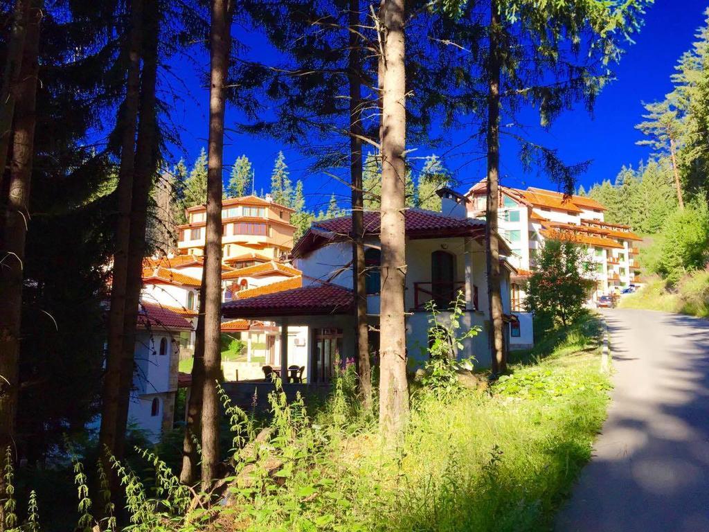 Forest Glade-Апартаменти И Стаи За Гости Pamporovo Dış mekan fotoğraf