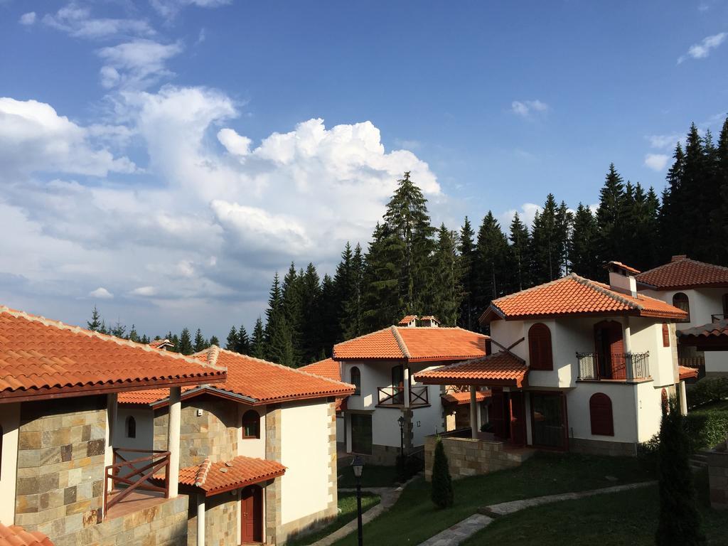 Forest Glade-Апартаменти И Стаи За Гости Pamporovo Oda fotoğraf