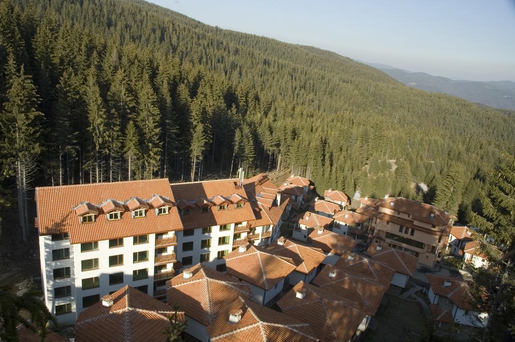Forest Glade-Апартаменти И Стаи За Гости Pamporovo Dış mekan fotoğraf