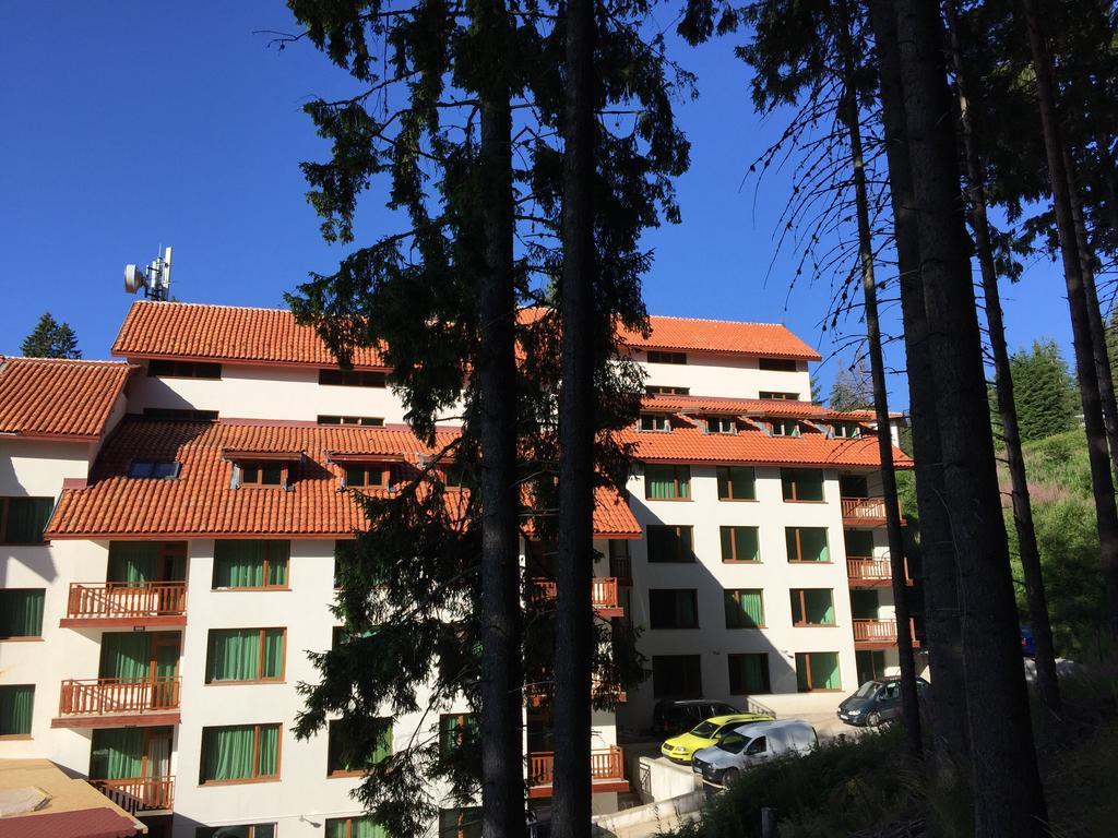 Forest Glade-Апартаменти И Стаи За Гости Pamporovo Dış mekan fotoğraf