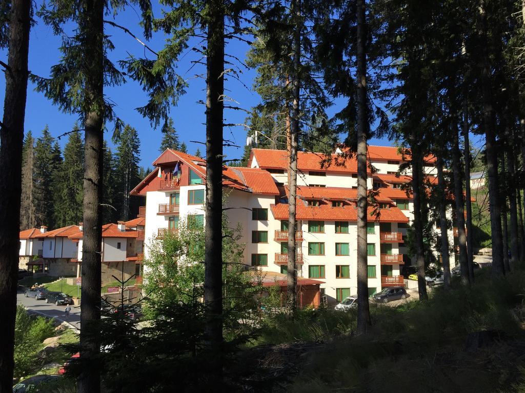 Forest Glade-Апартаменти И Стаи За Гости Pamporovo Dış mekan fotoğraf