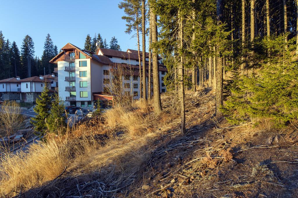 Forest Glade-Апартаменти И Стаи За Гости Pamporovo Dış mekan fotoğraf
