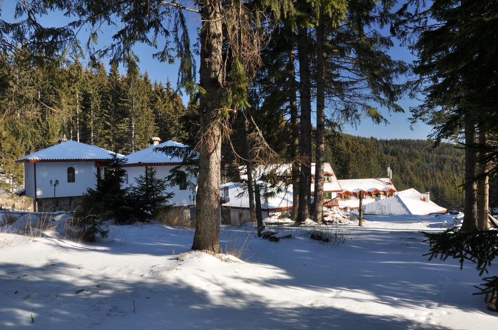 Forest Glade-Апартаменти И Стаи За Гости Pamporovo Dış mekan fotoğraf