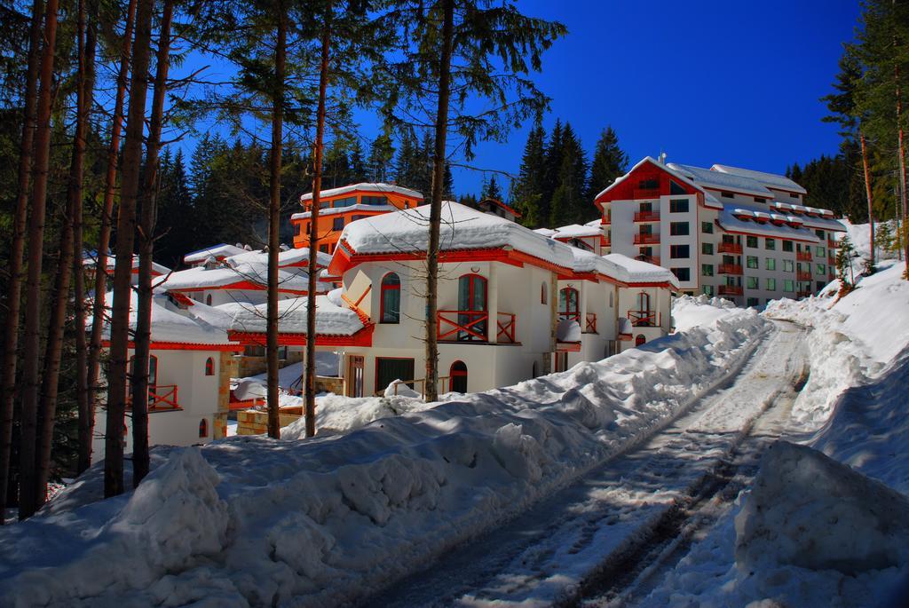 Forest Glade-Апартаменти И Стаи За Гости Pamporovo Dış mekan fotoğraf