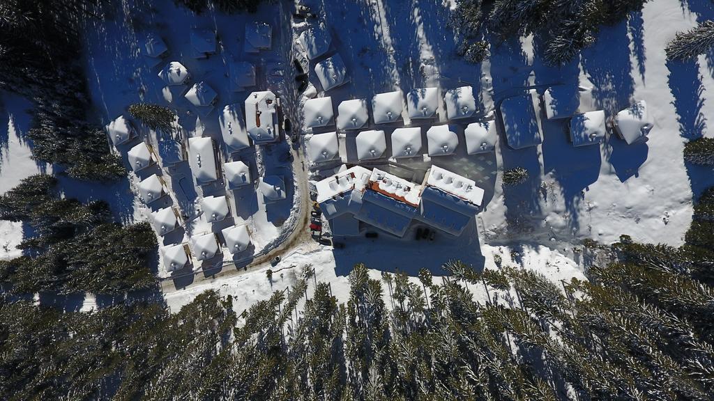 Forest Glade-Апартаменти И Стаи За Гости Pamporovo Dış mekan fotoğraf