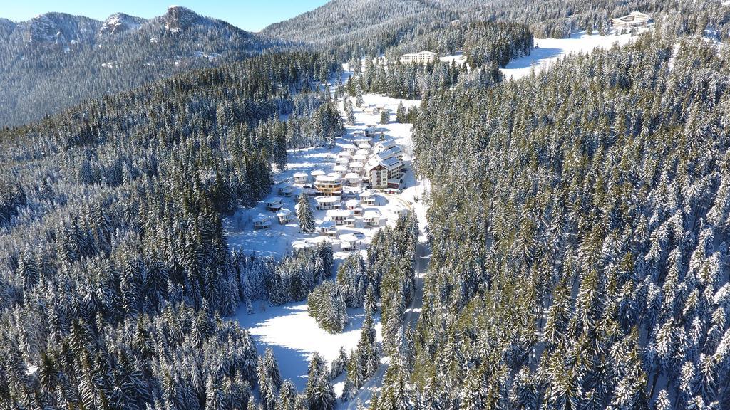 Forest Glade-Апартаменти И Стаи За Гости Pamporovo Dış mekan fotoğraf